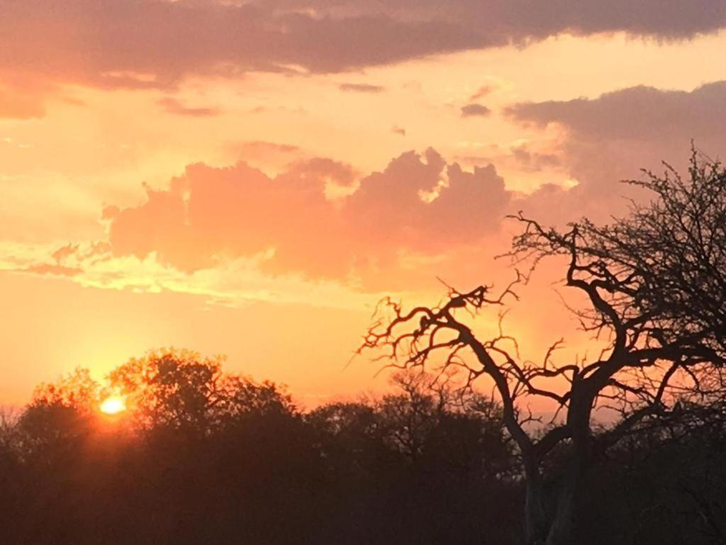 Panache Wildlife Cottage-Self Catering Hoedspruit Exteriér fotografie